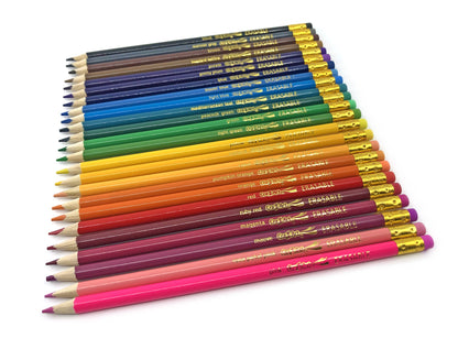 Erasable Colored Pencils, 24 Pack, Beginner Child Ages 3 and Up, Back to School Supplies